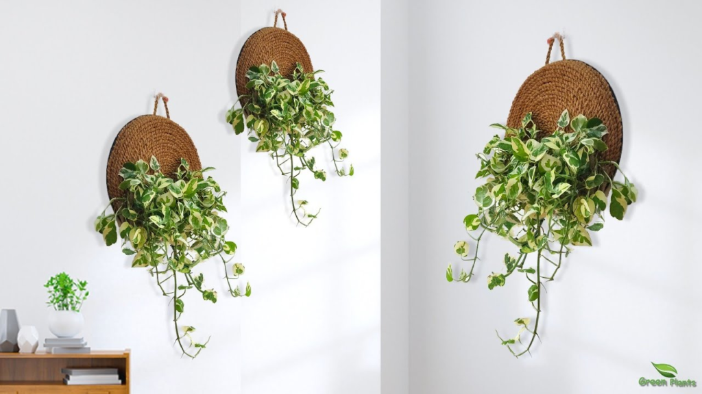 Hanging plants wall decor idea for small spaces with natural greenery